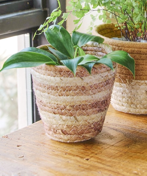 ツートンバスケット：S