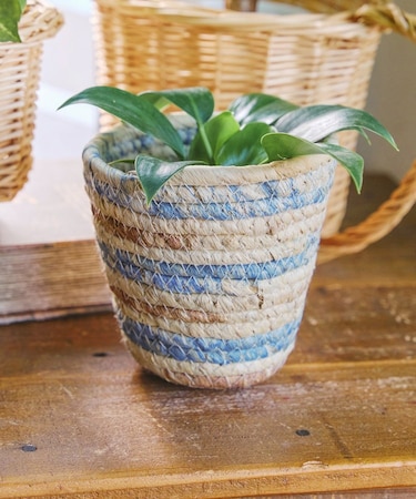 ツートンバスケット：S