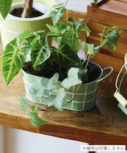 タイルデザインオーバルブリキバスケット