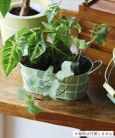 タイルデザインオーバルブリキバスケット