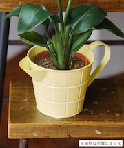 タイルデザインブリキピッチャー