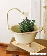 ブリキミニバスタブ／Natural Country Garden