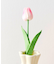 アートフラワーチューリップ