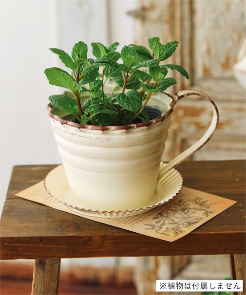 ブリキコーヒーカップ／Natural Country Garden