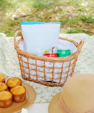 《WEB限定商品》柳取っ手付オーバルバスケット：S