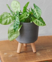 3号脚付きポットカバー