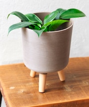 4号脚付きポットカバー