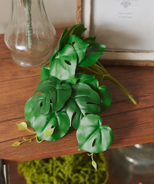 フェイクモンステラ