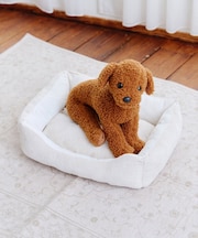 ふんわりクッションペットベッド