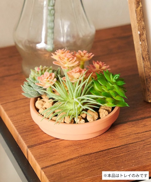 テラコッタポットトレイ