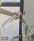 ミストスプレーボトル：500ml