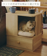 《WEB限定商品》ペットサイドテーブル／猫と暮らす