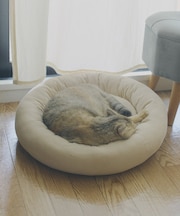 《WEB限定商品》ペットベッド／猫と暮らす