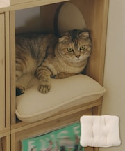 《WEB限定商品》ペットクッション／猫と暮らす