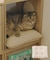 《WEB限定商品》ペットクッション／猫と暮らす