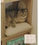 《WEB限定商品》ペットクッション／猫と暮らす