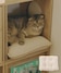 ベージュ