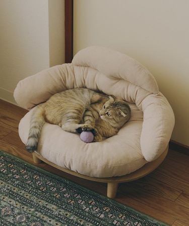《WEB限定商品》ペットソファ/猫と暮らす