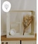 窓型シェルフ／25th Special Price Item