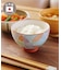 ≪WEB限定再入荷≫美濃焼ステンドグラス風茶碗／新生活食器