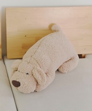おひるねわんこ