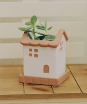 受け皿付きおうちポット2号／おうち植物