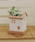 受け皿付きおうちポット2号／おうち植物