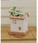 受け皿付きおうちポット2号／おうち植物