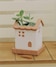 ホワイト系その他