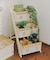 《WEB限定商品》おうちラダーラック／おうち植物