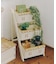 《WEB限定商品》おうちラダーラック／おうち植物