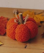 ボアかぼちゃオブシェ：M／Autumn Harvest Festival