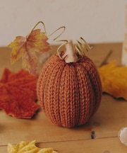 リブ編みニットかぼちゃ／Autumn Harvest Festival
