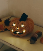 光るLEDパンプキンオブジェ／Autumn Harvest Festival