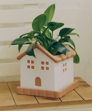 受け皿付きおうちポット3号/おうち植物