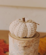 ニットかぼちゃオブジェ:S/Autumn Harvest Festival