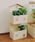 おうち2段プランターラック／おうち植物