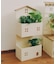 おうち2段プランターラック／おうち植物