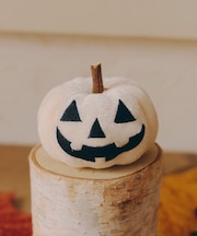 ベロアパンプキンオブジェ/Autumn Harvest Festival