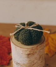 ボアかぼちゃオブシェ:S/Autumn Harvest Festival