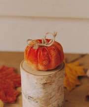 ベロアかぼちゃオブシェ:S/Autumn Harvest Festival