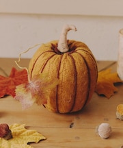 ケーブル編みニットかぼちゃ/Autumn Harvest Festival