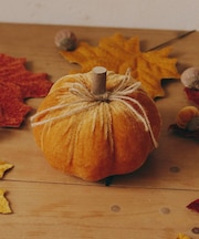 ベロアかぼちゃオブシェ:M/Autumn Harvest Festival