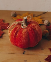 ベロアかぼちゃオブシェ:M/Autumn Harvest Festival