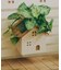 おうちハンギングポットカバー／おうち植物