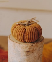 コーデュロイかぼちゃオブジェ:S/Autumn Harvest Festival