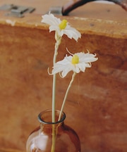 ナチュラルフラワー/暮らしに花を添えて