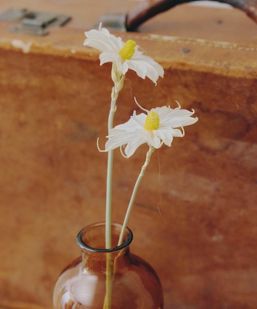 ナチュラルフラワー／暮らしに花を添えて
