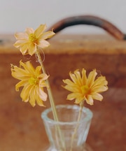 ナチュラルフラワー／暮らしに花を添えて