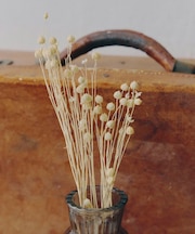 フラックス/暮らしに花を添えて